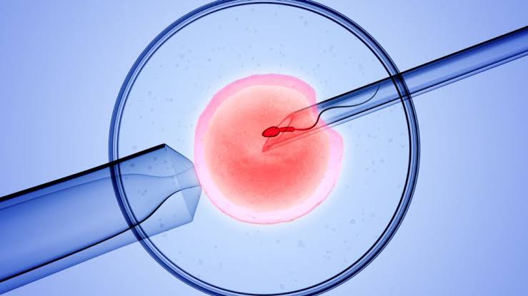 IVF: A New Path to Parenthood Independence
