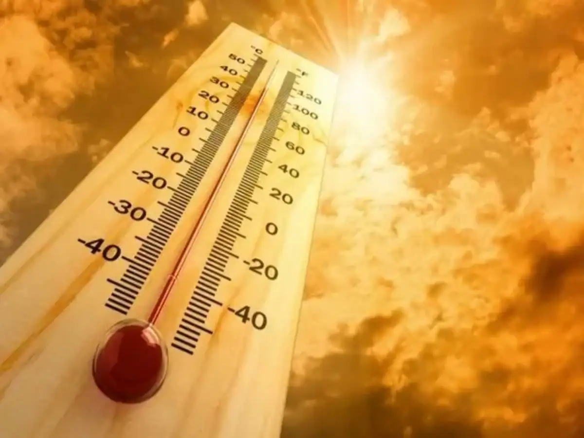 Delhi Heatwave Alert: How to stay safe amid soaring temperatures!
