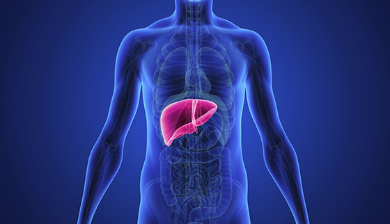 Wellness supplements may carry hidden liver health dangers!