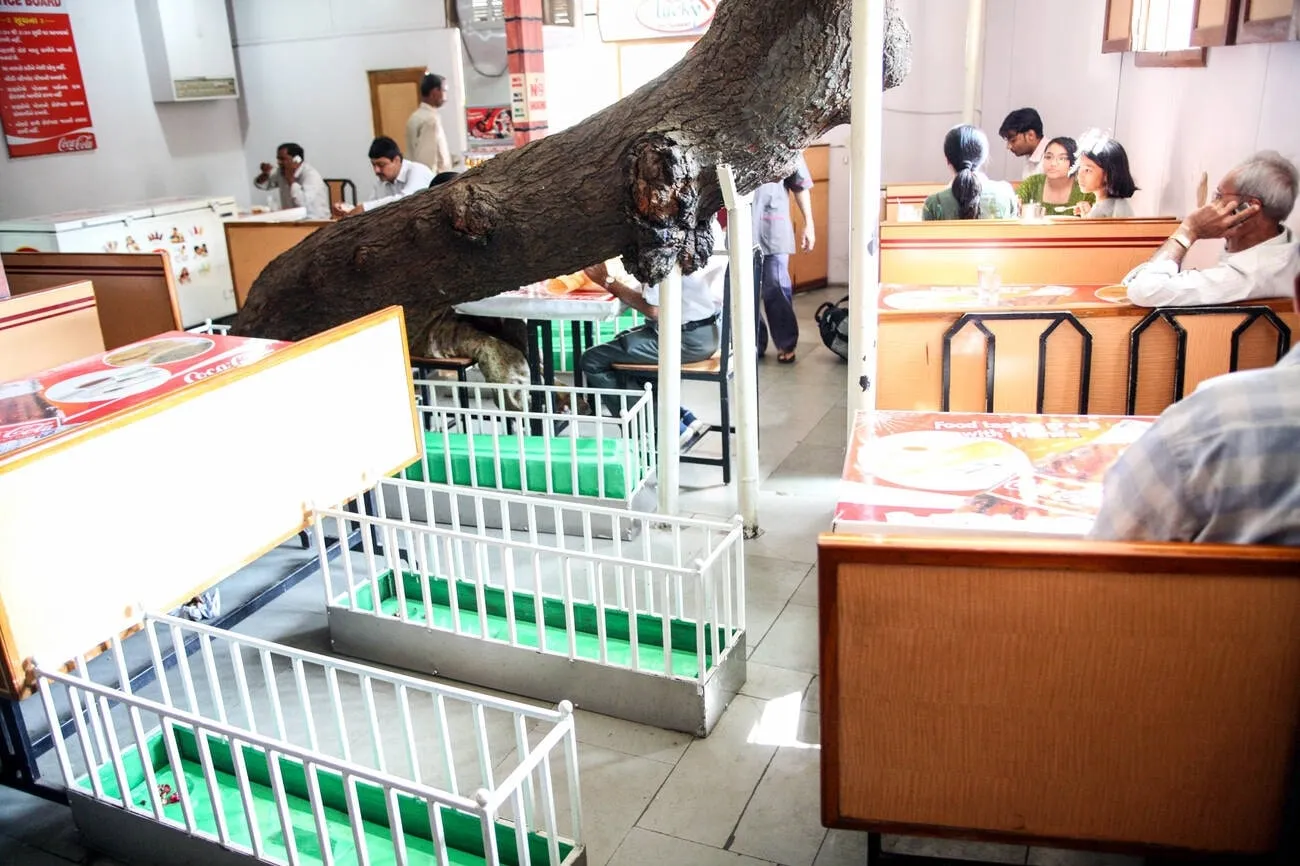 Tea with the dead  This Ahmedabad café is built on a graveyard and considered lucky by locals