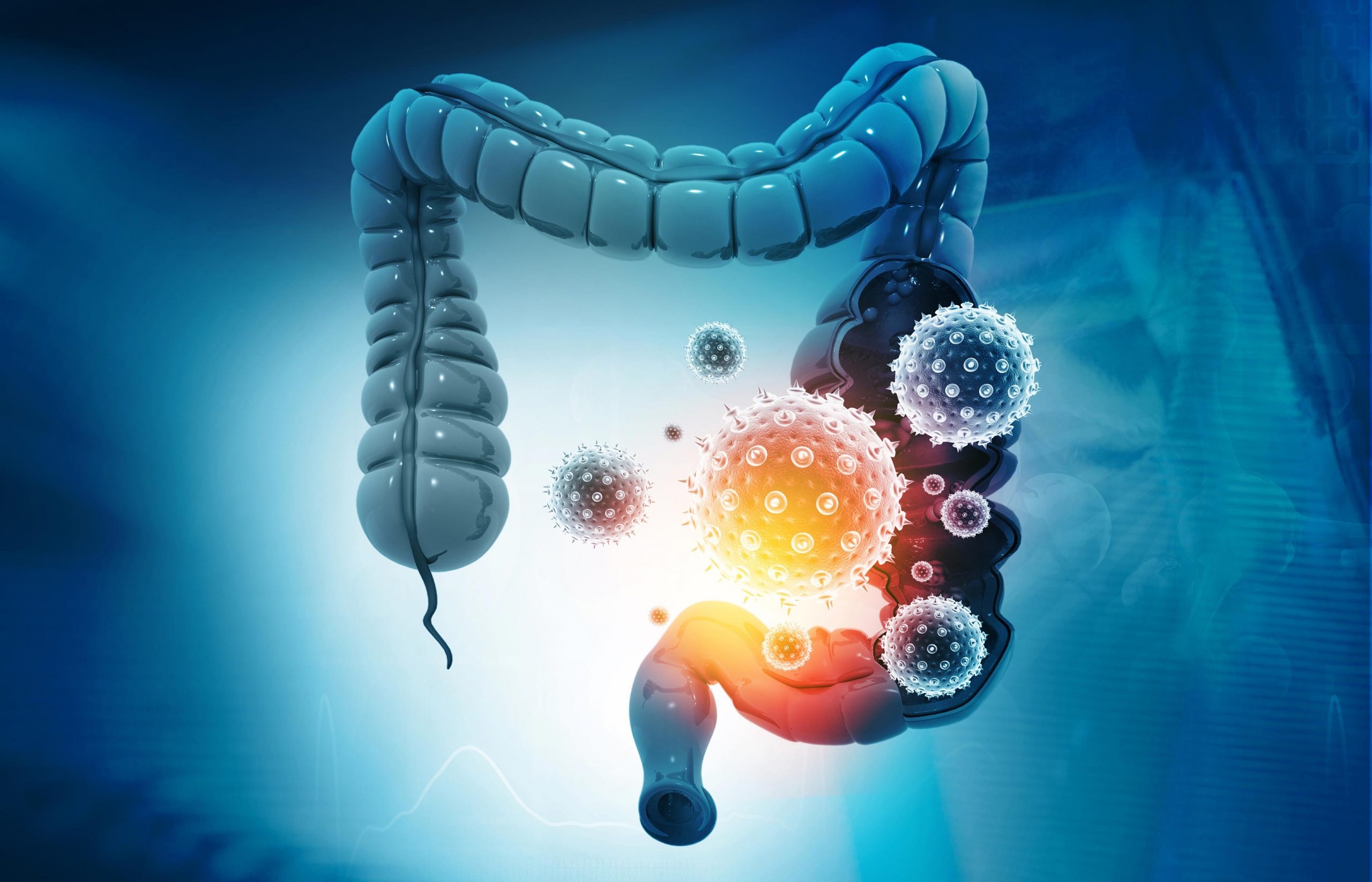 When medicine hurts more than it heals: The Gut Health Crisis