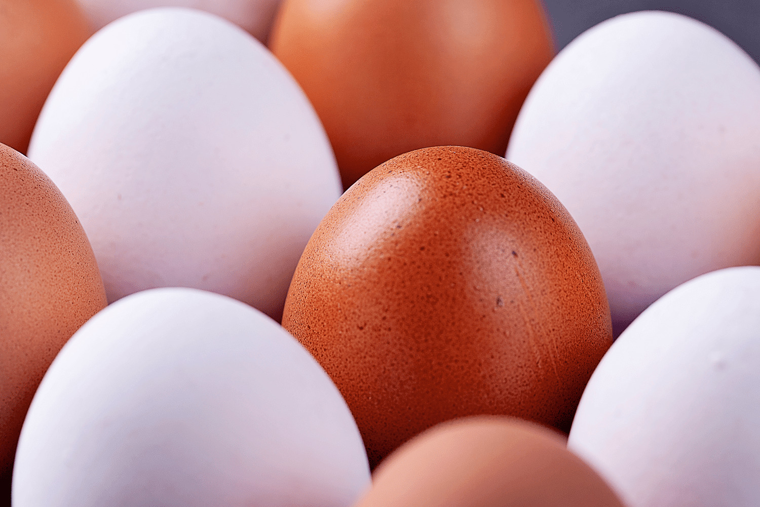 Why eggs deserve a spot on your plate daily