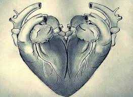 The real reason we use a heart shape for love might surprise you...
