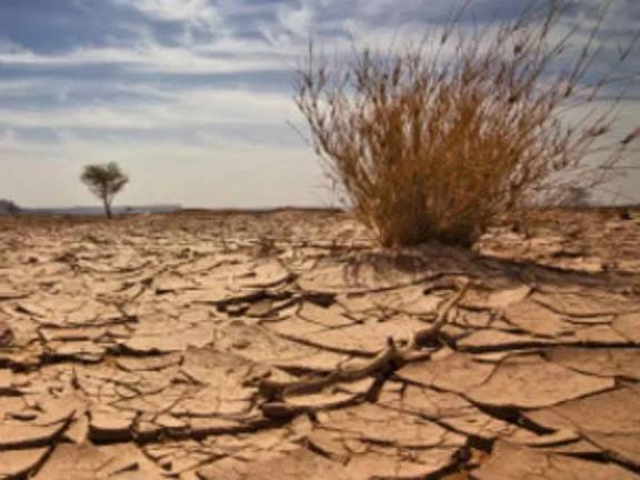 This Village Beat Drought Without Government Help!