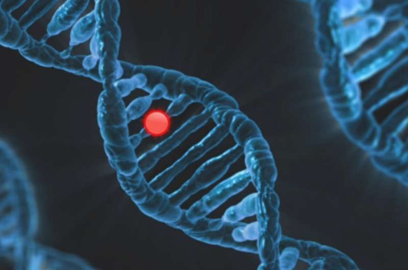 This vitamin D gene could be the key to killing cancer cells!