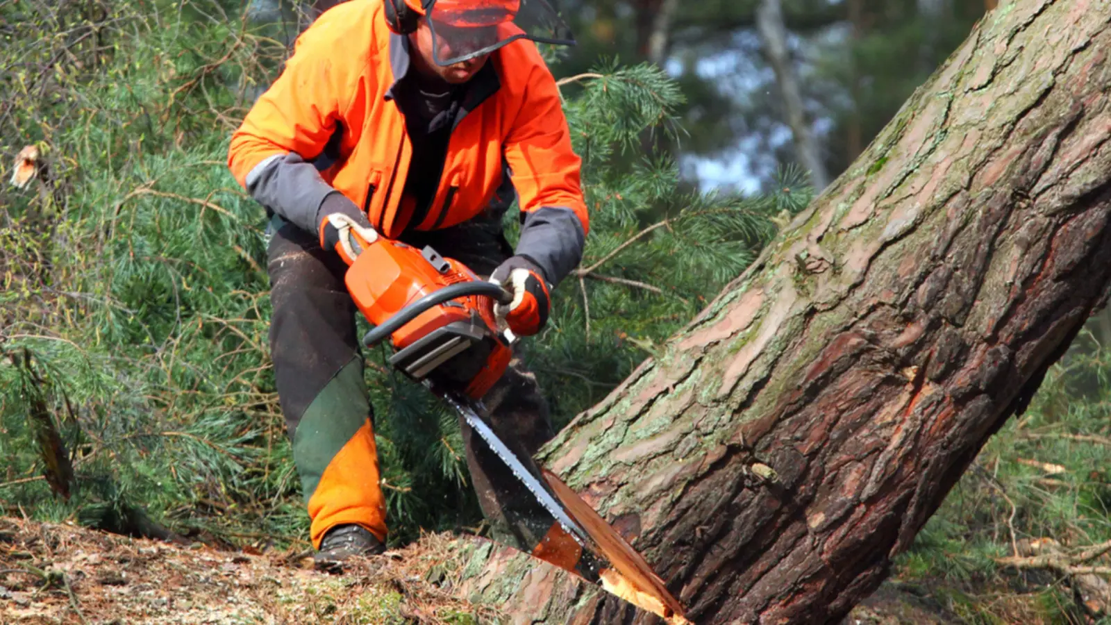 Top 7 Most Dangerous Jobs in the World!