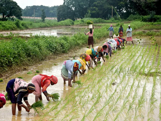 BJP to Seek Suggestions for Lok Sabha Poll 'Sankalp Patra', Run Month-long Farmer Outreach Campaign from Feb 12