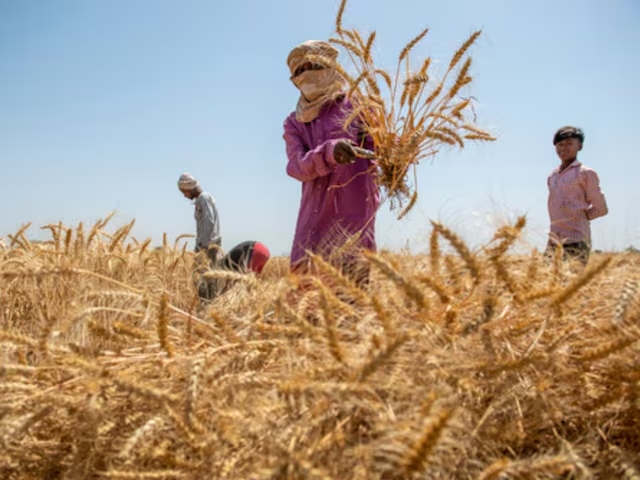 Opinion | Time to Scale up Climate Finances for Adaptation in Indian Agriculture