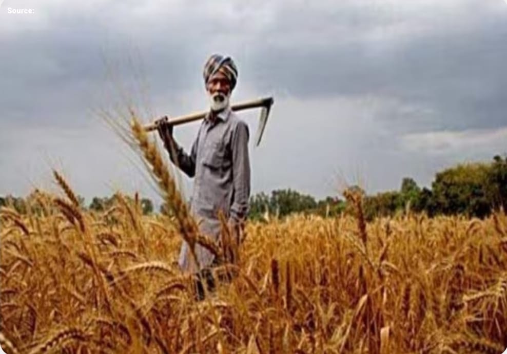 India’s Agricultural Credit Revolution