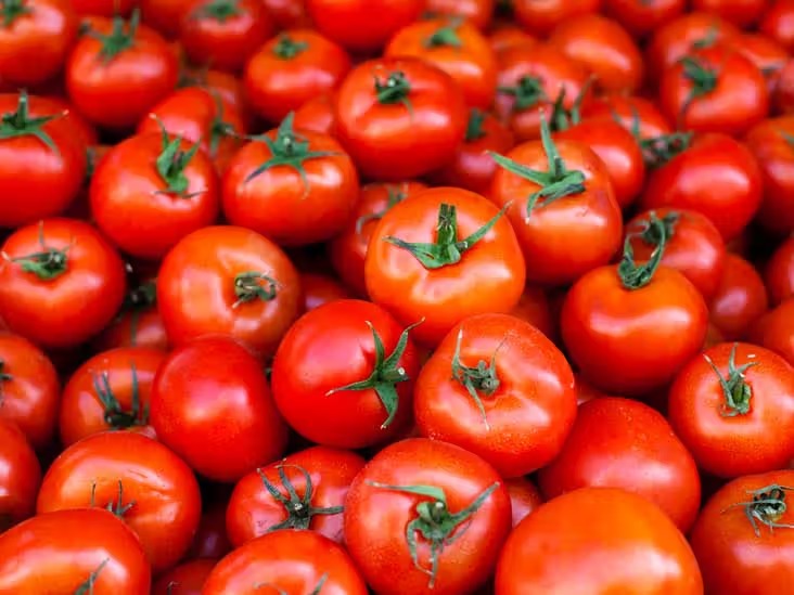 Government Invests in Tomato Crop Loss Solutions