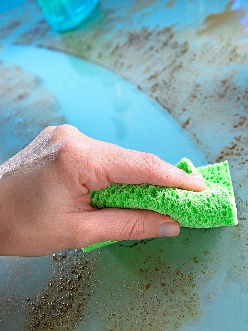 Is Your dish scrubber Hiding Dangerous Secrets?
