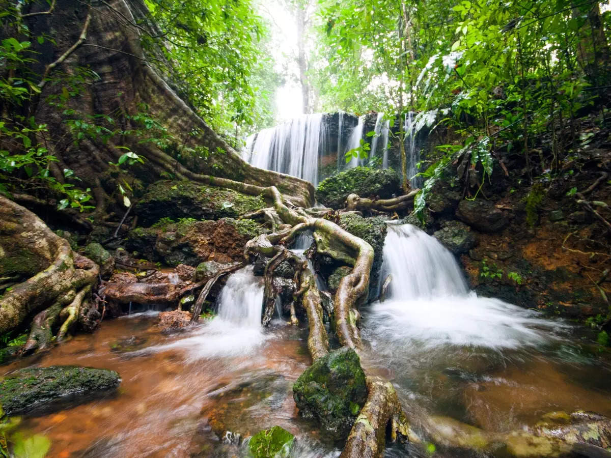 India’s hidden monsoon escapes are calling  see the 8 dreamy spots now!