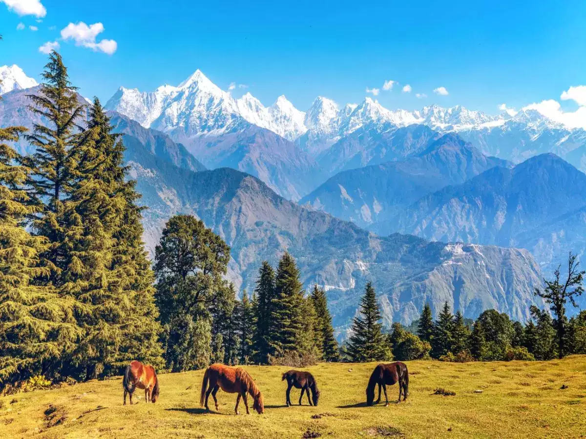 Tired of Mussoorie  Discover Uttarakhand’s best-kept nature hideaways now