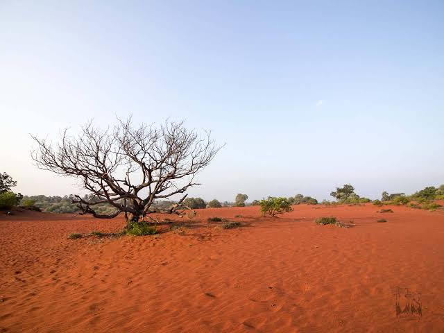 Theri Kaadu: Tamil Nadu’s Mars-Red Sandscape Revealed!