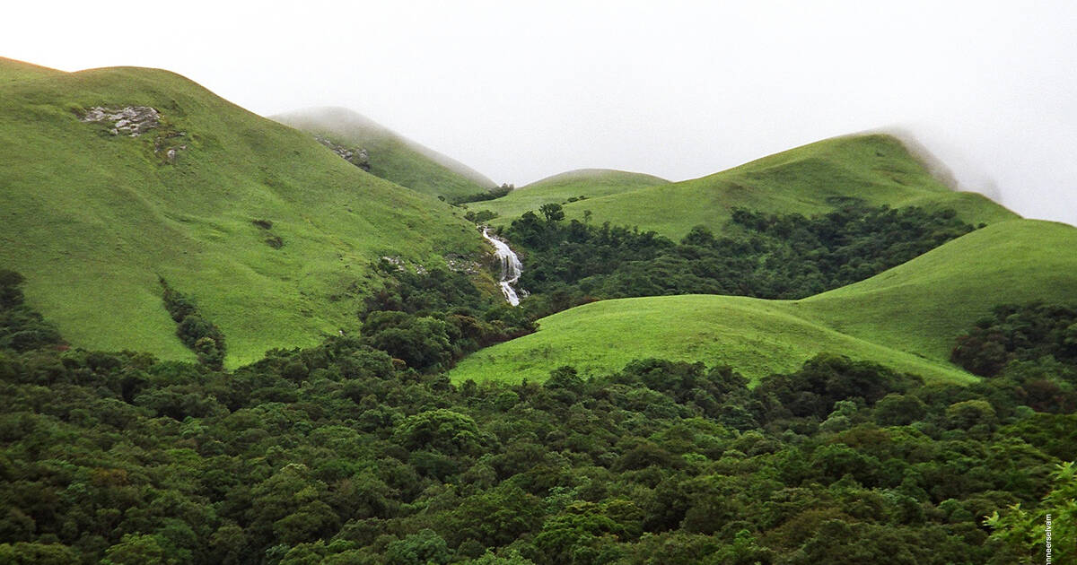 Forests  waterfalls  wildlife! 9 Western Ghats escapes perfect for this monsoon