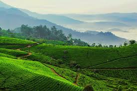 Your 2026 travel list is incomplete - until you see these top destinations…