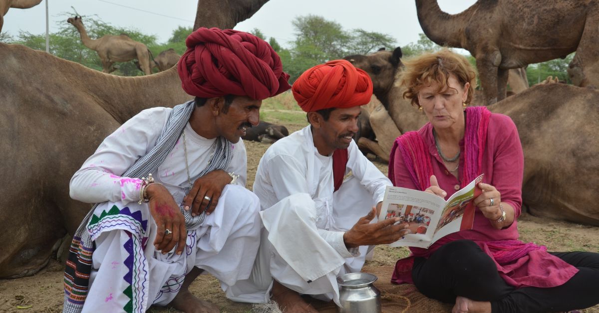 What’s happening with these camels in Rajasthan will leave you stunned…!