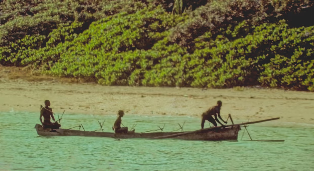 Census vs survival  India weighs drones to count tribe untouched by modern world