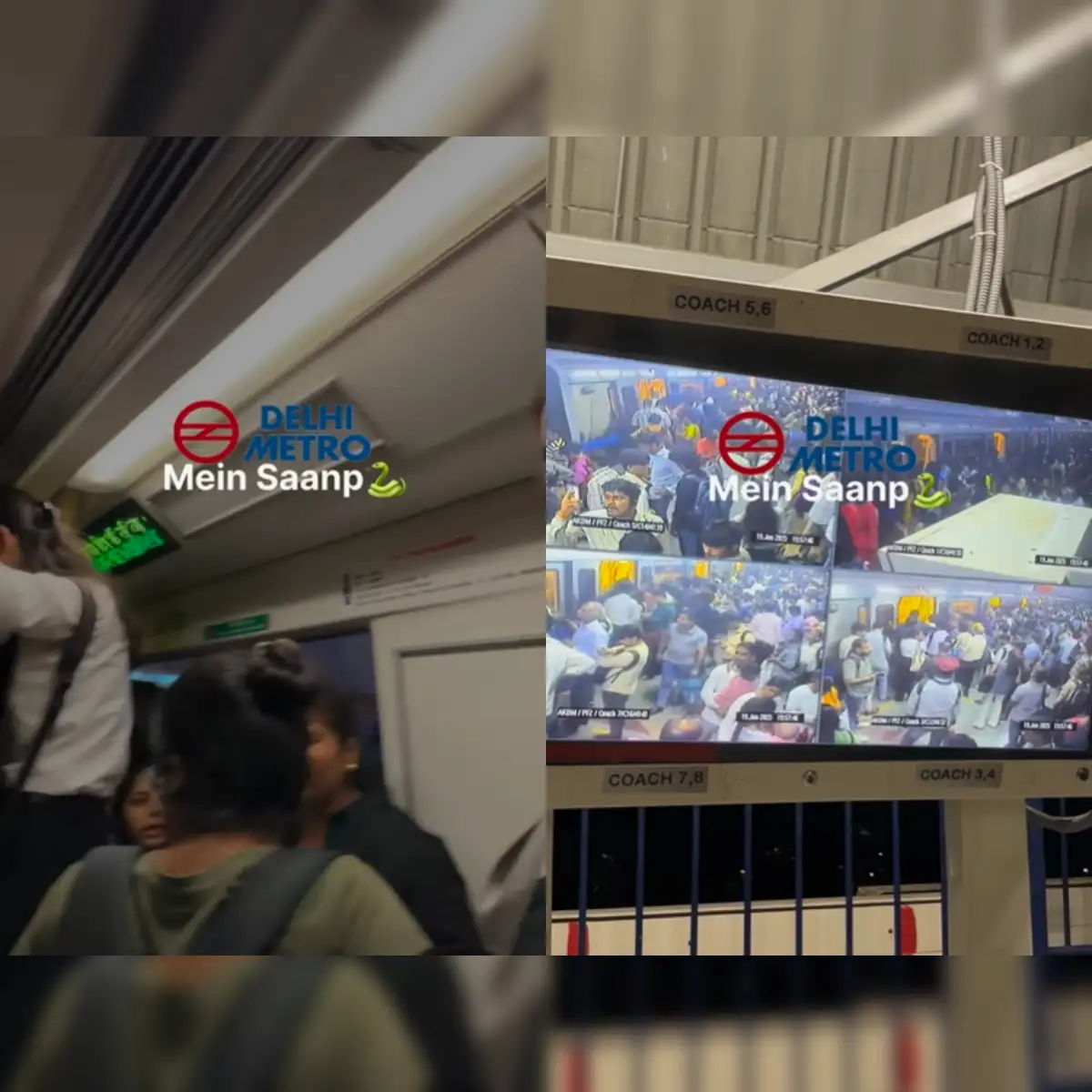 Snake panic in Delhi metro: Ladies' coach turns safari!