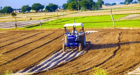 Reimagining Indian Agriculture As A Profitable Enterprise!