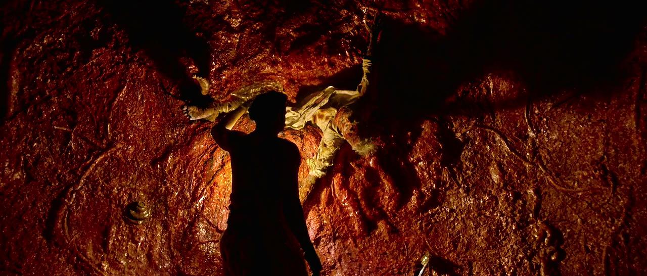 This list of horror films is cursed, view at your own risk