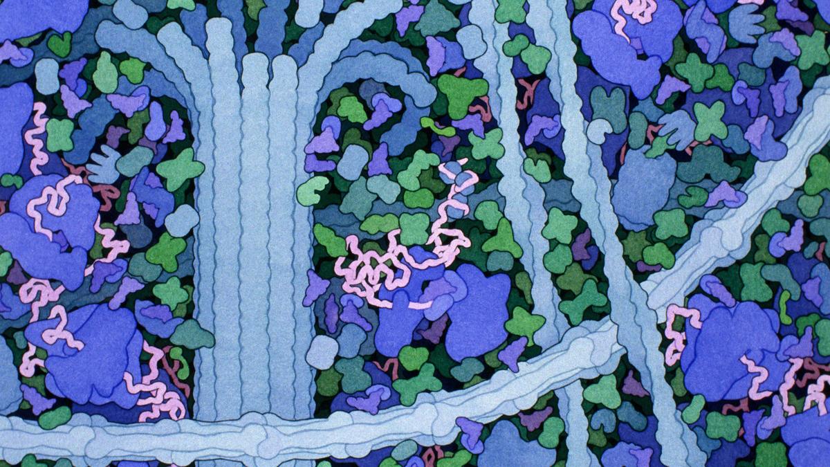 Google's new AI turns cancer research into discovery!