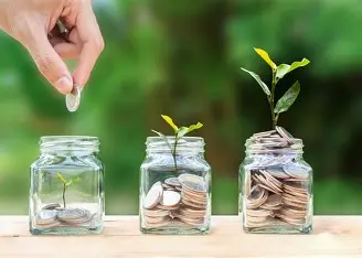Money Basics You Should Master Before Graduating!
