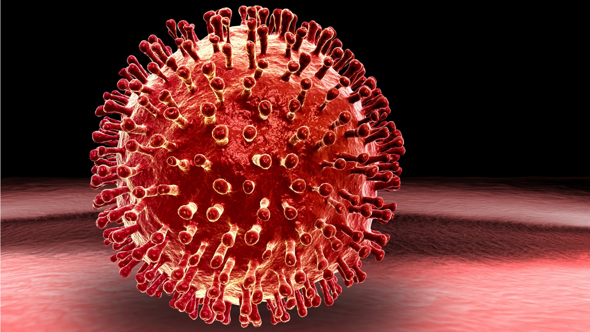 H5N1 virus spreads: global experts warn of pandemic risk