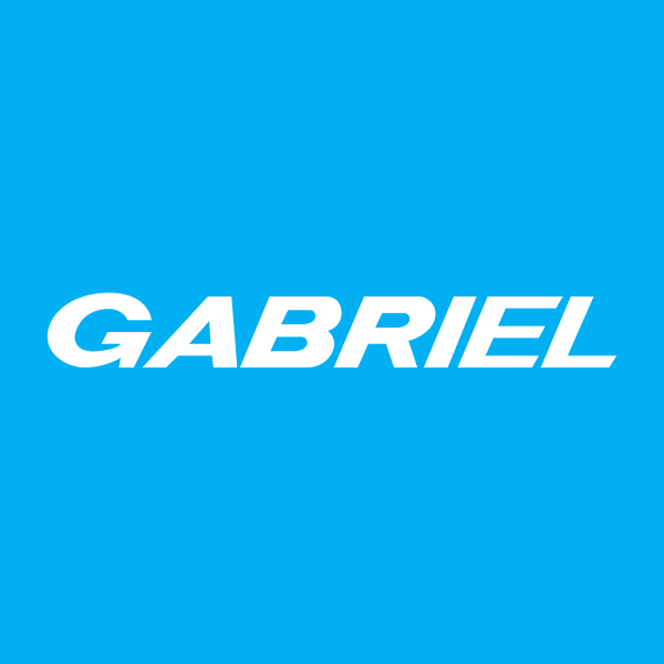 Stock of the day: Gabriel India Ltd.!