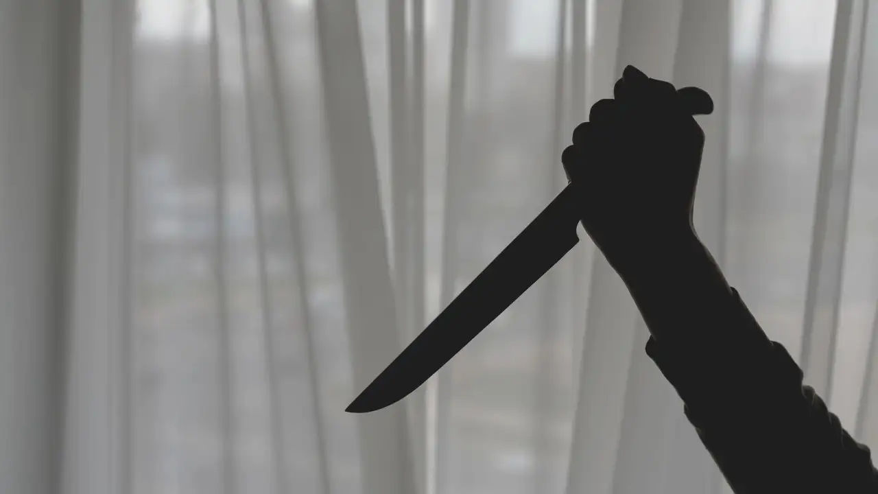 Noida man stabs wife to death  surrenders at police station!