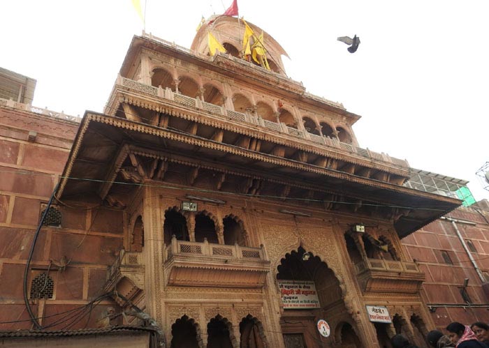 Monkey mayhem in vrindavan: Devotee's ₹20 Lakh jewellery bag snatched outside Banke Bihari Temple