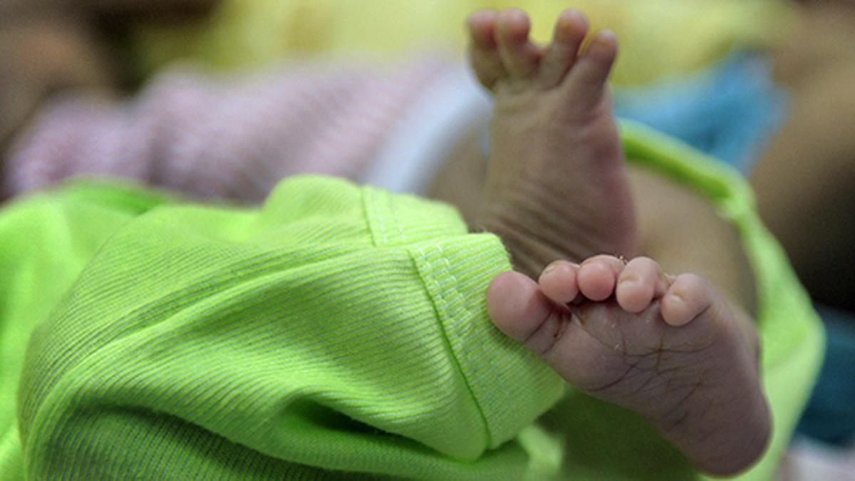 A milestone and a warning: India hits 1.46 billion as birth rates fall below replacement!