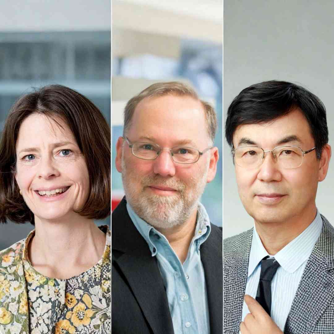 The Nobel Discovery That Unlocked the Immune System’s Secret