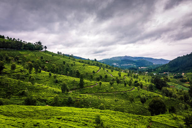 Forget Ooty  locals swear by these 7 hidden hill escapes near Coimbatore!