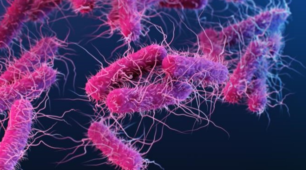 This Bacteria turns waste Plastic into everyday Painkillers!
