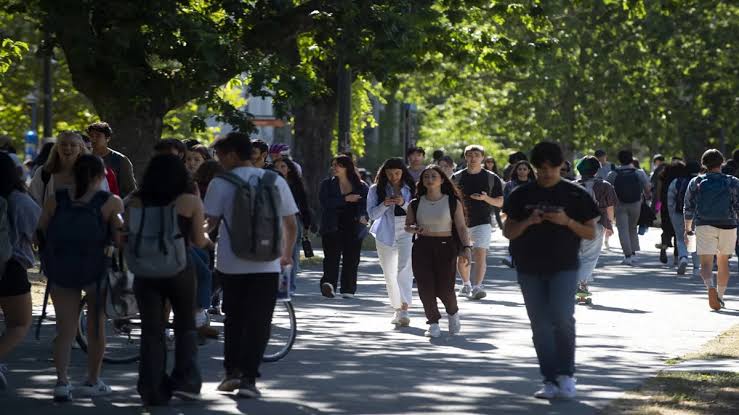 Canada Sees International Student Arrivals Plummet Nearly 97%!