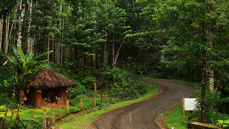 Planning a break? These Mangaluru getaways are calling you!