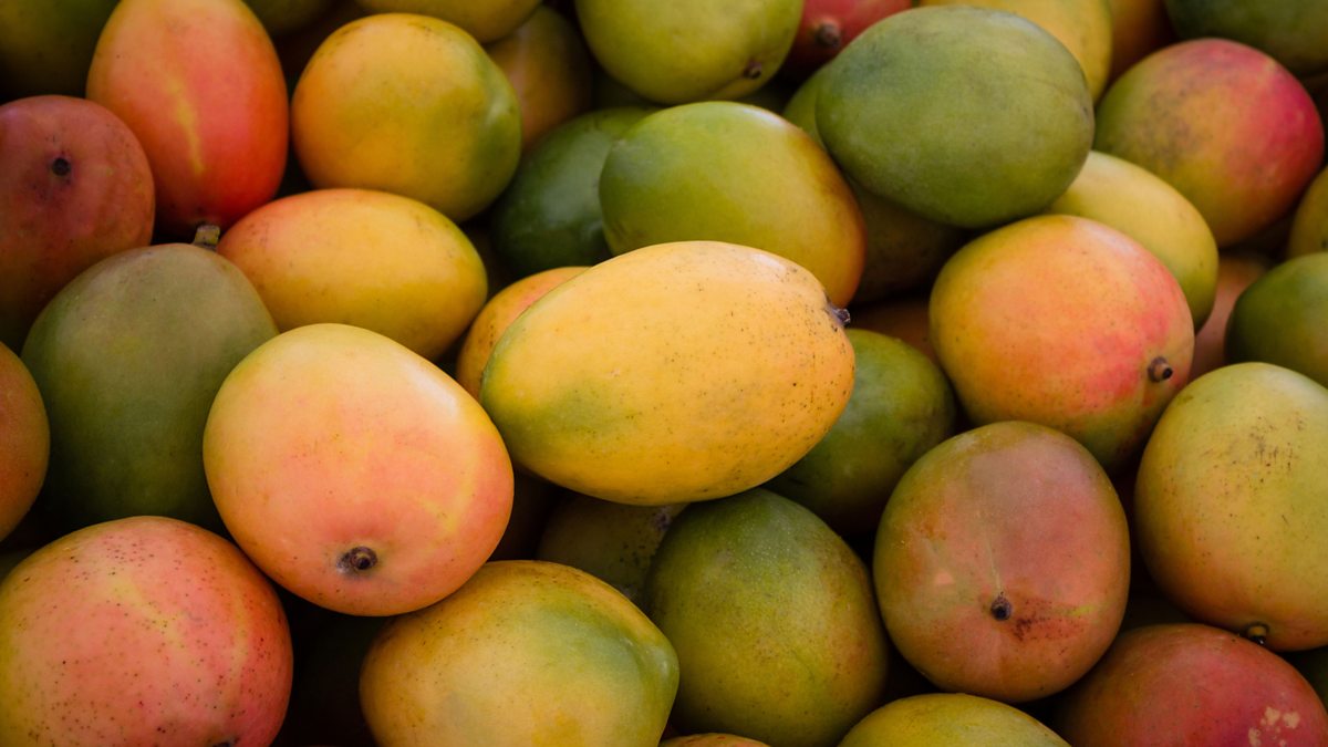 Mangoes can be healthy, even for diabetics says doctors!