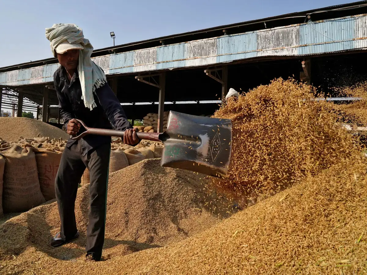 Rice went from biryani to biofuel real quick!