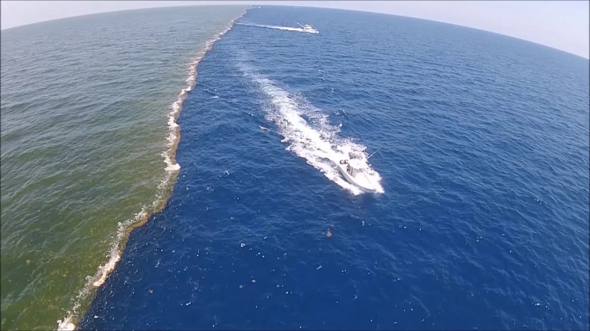 Pacific vs Atlantic: Do the Oceans Really Mix? Pacific vs Atlantic: Do the Oceans Really Mix?