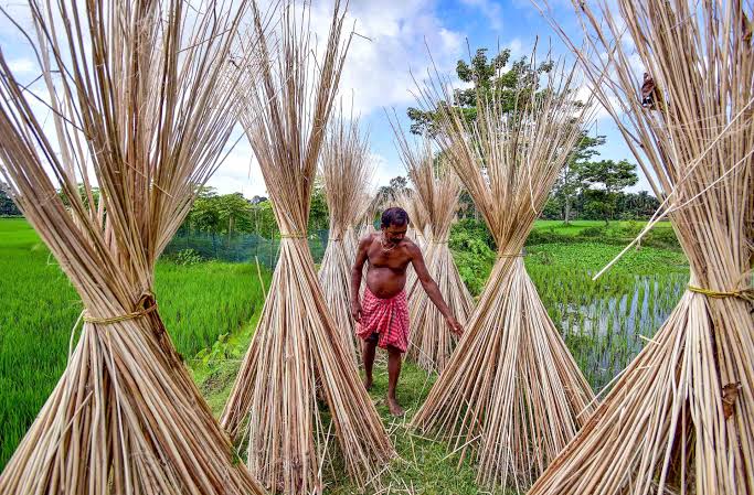 India expands ban on Bangladesh jute imports!