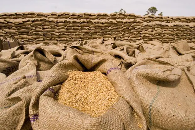 Why Wheat Grows in Punjab but Never in Kerala?