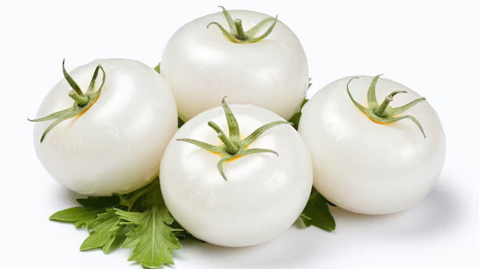 White tomato extract emerges as natural brightening hero in skincare