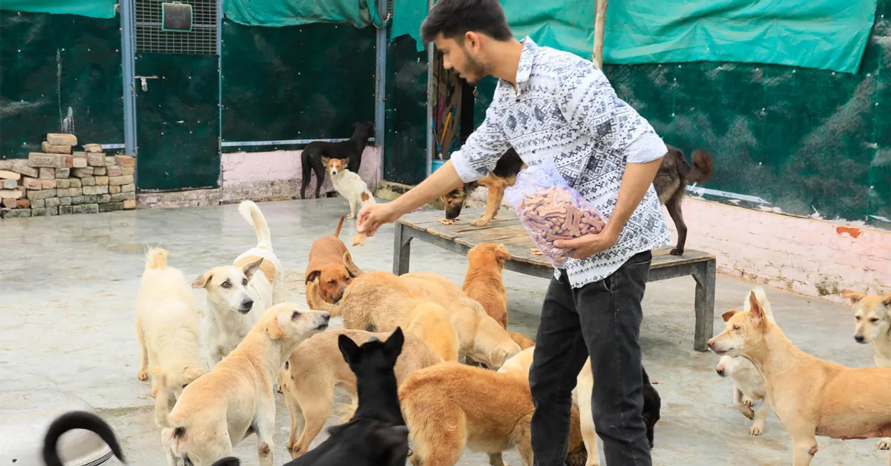 This young DU graduate turned pain into purpose for Delhi’s strays!