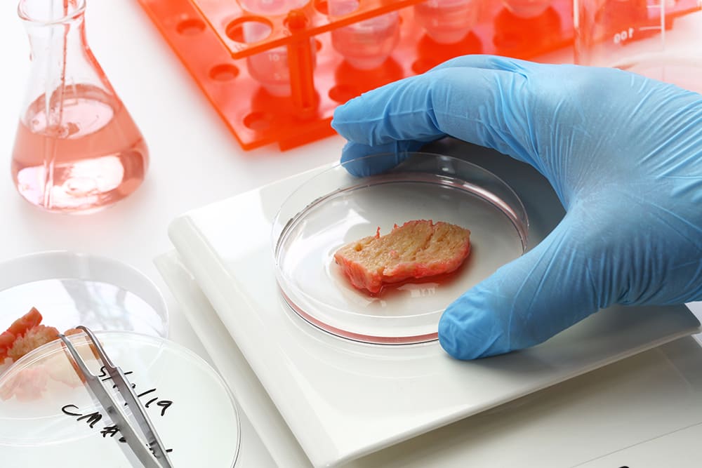 Meat without animals  New food-tech could save the planet