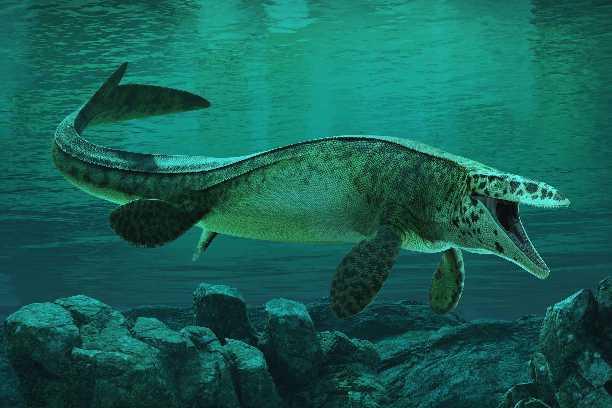 This giant ocean predator was bigger and deadlier than you imagine...