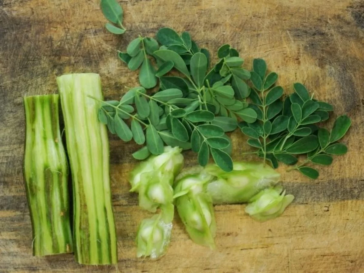 Moringa: The superfood you didn't know you needed!