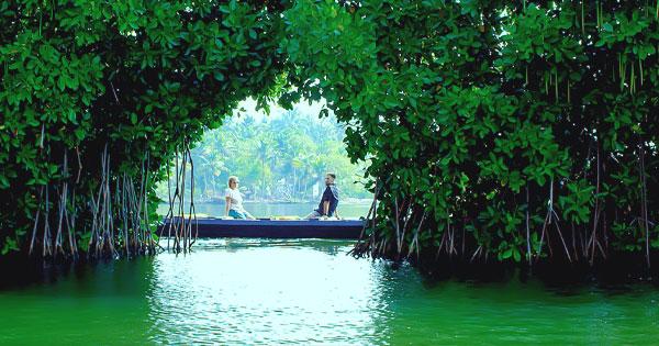 Munroe island magic! Car-free  peaceful  simply kerala.