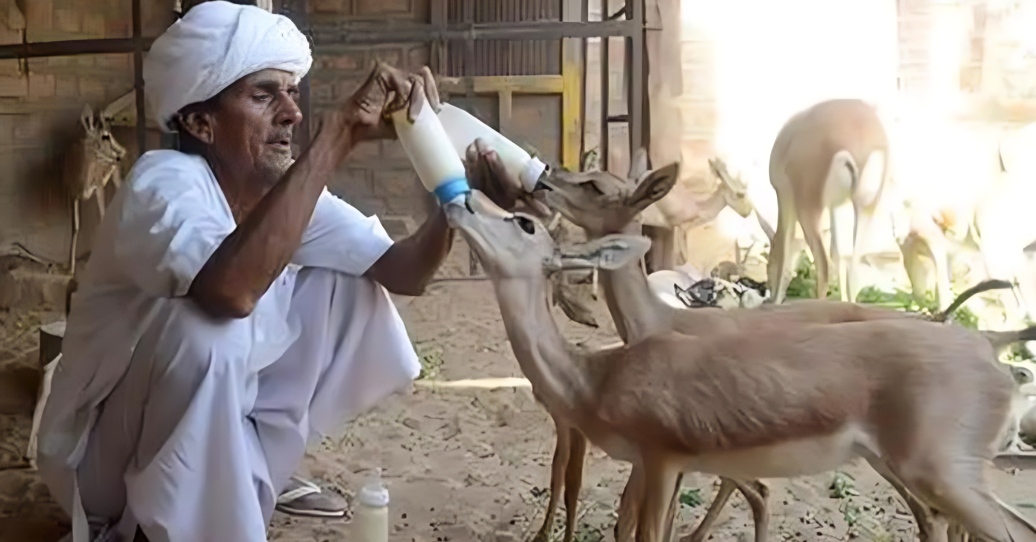 5 Indian villages where leopards, elephants & humans live as neighbors!