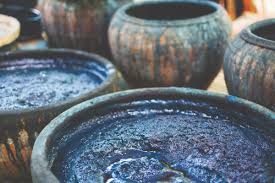 You won’t believe how early humans created color with plants!